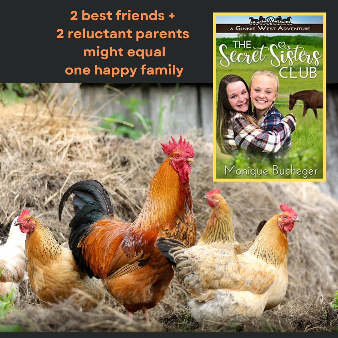 1 The Secret Sisters Club (eBook)
