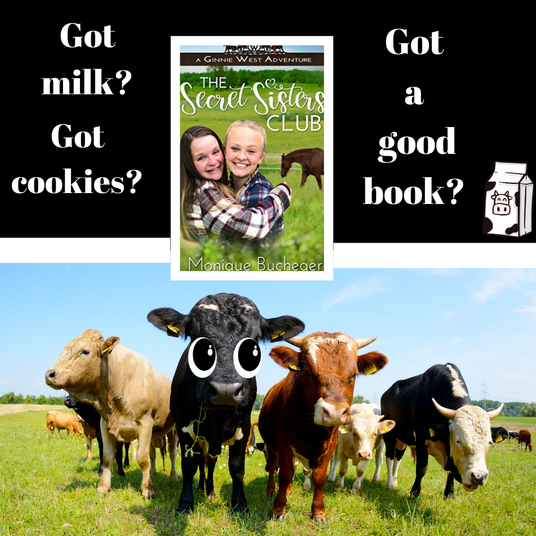 1 The Secret Sisters Club (eBook)