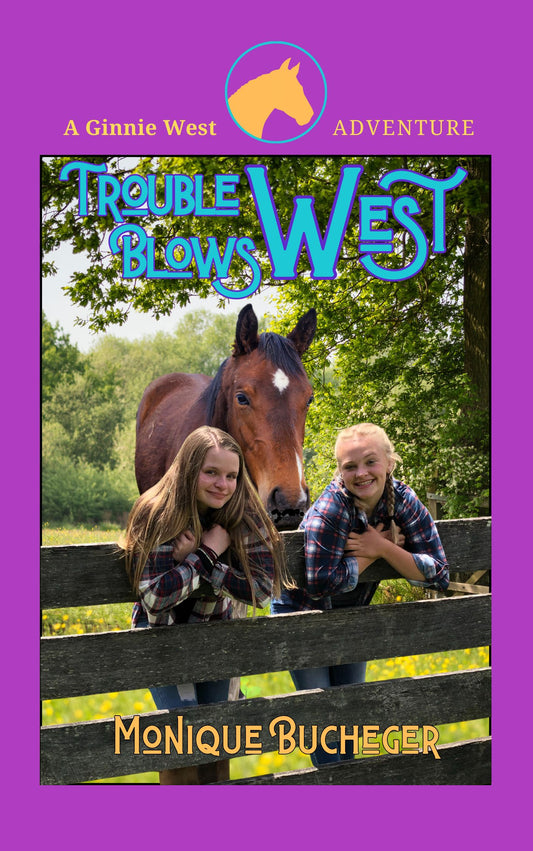 2 Trouble Blows West (Paperback)